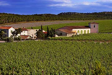 Château L'Hospitalet, Languedoc "La Clape"
